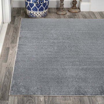 Twyla Classic Solid Low-Pile Machine-Washable Area Rug